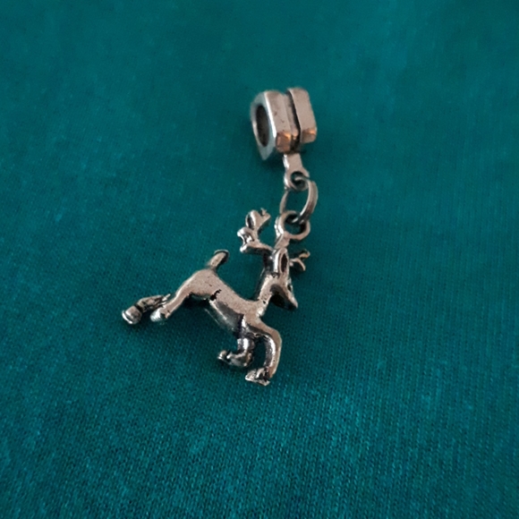 Charm - Picture 2 of 2